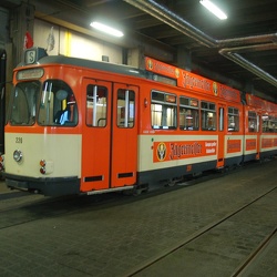 (D) Mainz Tram+Bus