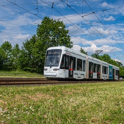 516 (2009-)