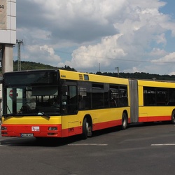 Bus 
