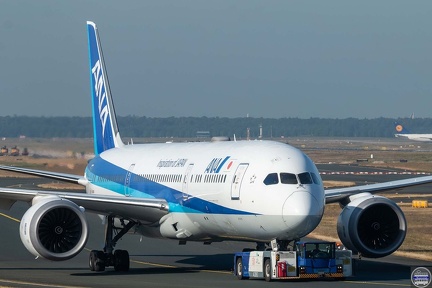 ANA JA836A 2023-10-02 FRA jarü (4)
